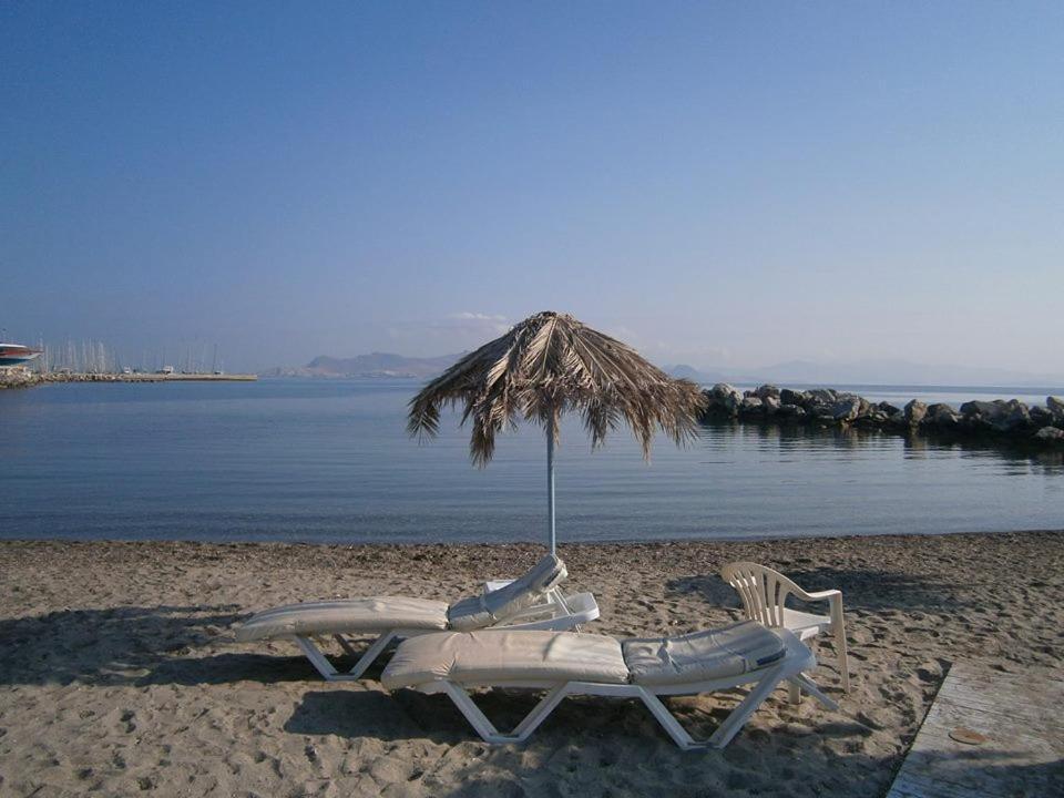 Theodorou Beach Hotel Apartments Psalidi  Zewnętrze zdjęcie